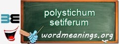 WordMeaning blackboard for polystichum setiferum